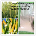 Agroquímicos PGR Growth Hormones Prohexadione Calcium Canxi Powder Price